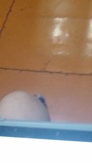 кухня в тока бока