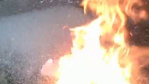 Тополиный пух горит быстро