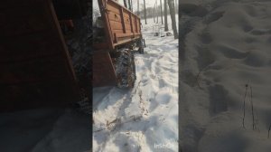 заготовка дров 2025