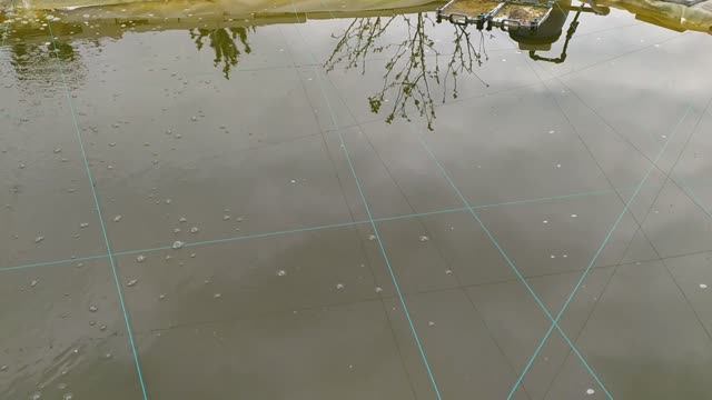 Форель в пруду смотреть онлайн