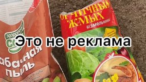 Какие вкусняшки я добавляю в лунку при высадки перца в теплицу.