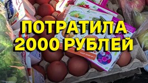 817ч Жизнь на юге России/Купили продукты/Переехали на Кубань с Урала