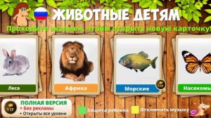 Учим Животных Домашние Леса Африки Развивашка для малышей Звуки Животных 2025