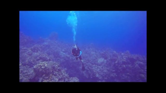 July 2013 Cayman Aggressor dive trip day 2 смотреть онлайн