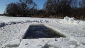 ❄️🧊🦭Закаливание🦭🧊❄️Моржевание🧊🦭❄️