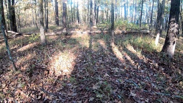 Охота с арбалетом на копытных. Достойный трофей! смотреть онлайн