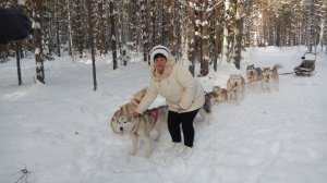 Вы просили. Я прокатилась. Было страшно, но здорово. Прокатилась на Сибирских Хасках...