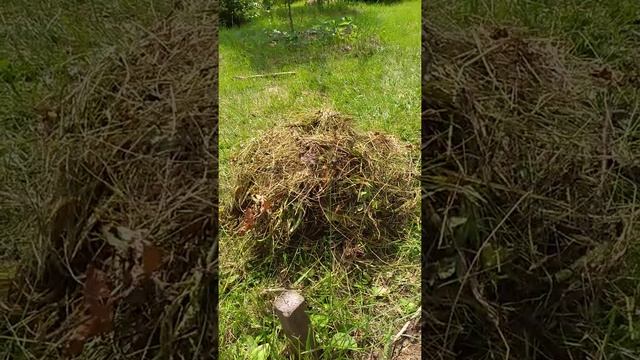Дачные секреты
