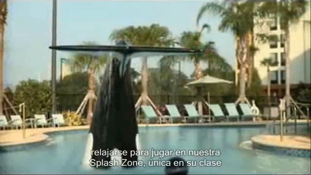 Fairfield Inn & Suites Orlando at SeaWorld смотреть онлайн