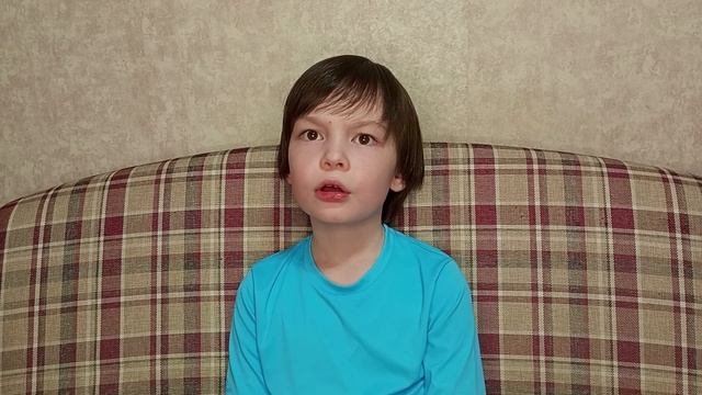 Видеовизитка,  Репников Тимофей, 8 лет,   бр