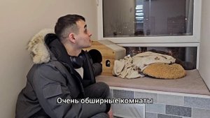 Отзыв о зоогостинице "Котико"