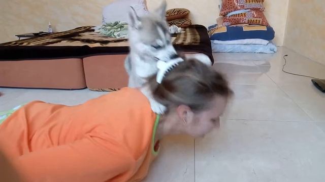 Хасеныш Зевс помогает делать зарядку (1.5 месяца) смотреть онлайн