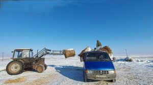 За сеном на Газели в мороз. Снежная пустыня. Сколько влезет в Газель?