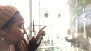 How To Grow Tomatoes 🍅 Inside Your Home 🏡 | Easy Step-By-Step Tomato 🍅 Growing Kit In Mason Jar🏺