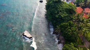 Дим буйҙары һары сәскә