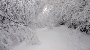 Кина не будет ,электричество кончилось .