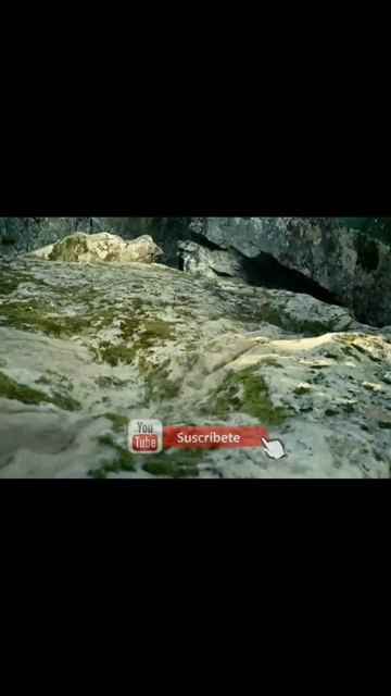 Minuscule Valley of the Lost Ants (2013) #anime #animezone #movieexplain #bengalimovieexplanations смотреть онлайн