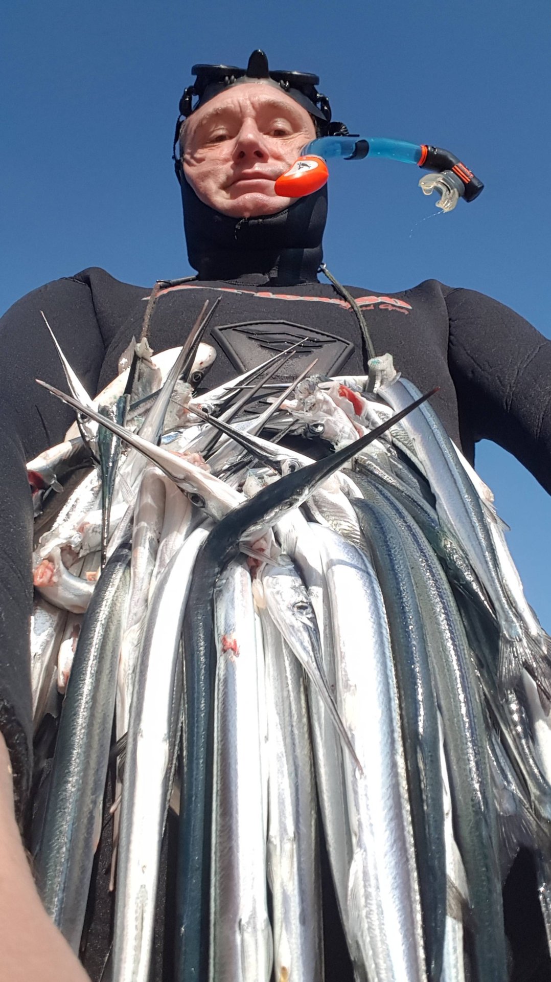 Сарган в Черном море: Крым- Подводная охота на хищника. смотреть онлайн