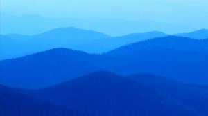 водяные лилии+