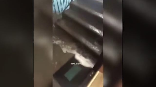 Зачем ходить в аквапарк. Калининград смотреть онлайн