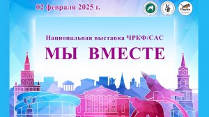 ЧРКФ 2 февраля 2025 Пермь