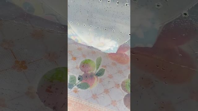 Генеральне прибирання у равлика Ахатіни. #Домашній_зоопаркЯсі
