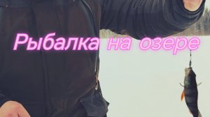 Мото толкач Ураган Промысловик, рыбалка на озере, пробуем
