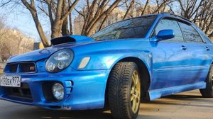 Subaru WRX STI синичка