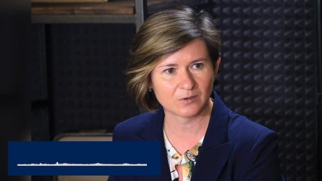 Аудиокомментарий к работе  «Аркаим и Страна городов»