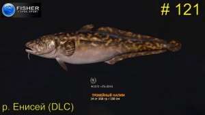 #121 р.Енисей(DLC) ч.9 Путь к серебру: вылов трофейного налима. Прохождение Fisher Online