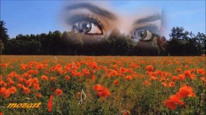 Не  Живи  Без  Меня             == Лена Нэмиш