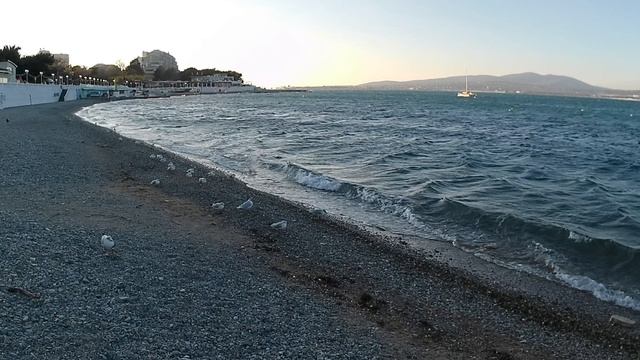 08.02.2025 небольшая прогулка Геленджик