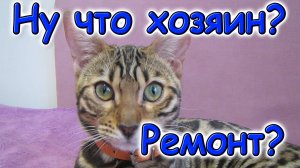 Ремонт как вижу это я. Часть 2. (01.25г.) Семья Бровченко