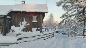 След зверя по деревне