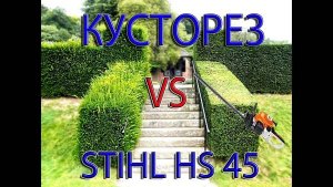 Стригите кустарник и деревья правильно!!! Не покупайте кусторез пока...Stihl HS45