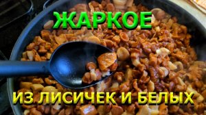 ЖАРКОЕ ИЗ ЛИСИЧЕК И БЕЛЫХ !!!
