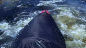 Первый сплав по реке Средняя