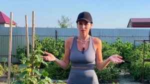 Убирать или сдерживать? Девичий виноград, вербейник монетчатый и новый монстр!!!