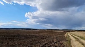 Ян Френкель Art-QUINTET Журавли