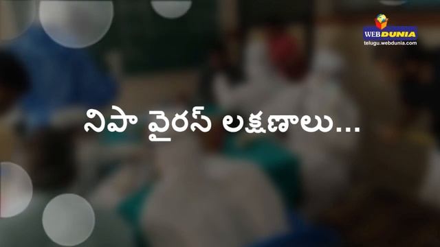 Nipah Virus: Symptoms, prevention, treatment of the infection