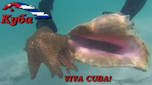 Автопутешествие с комфортом. Куба – Часть 2/12 (Кайо Ларго)