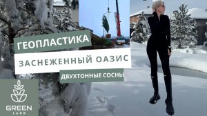Зимняя сказка: Как мы посадили 2-тонные деревья на этом участке!