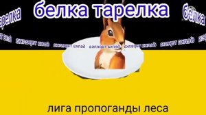 Белка-тарелка