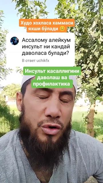 инсультгахам даво топилди #youtube #tabobat #tabootimamhassan #табобат #доктор #youtubeshorts смотреть онлайн