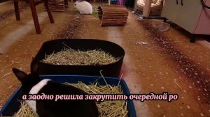 План мести моей жене. За измену! - Моя Жена Изменила - Драмы Судьбы