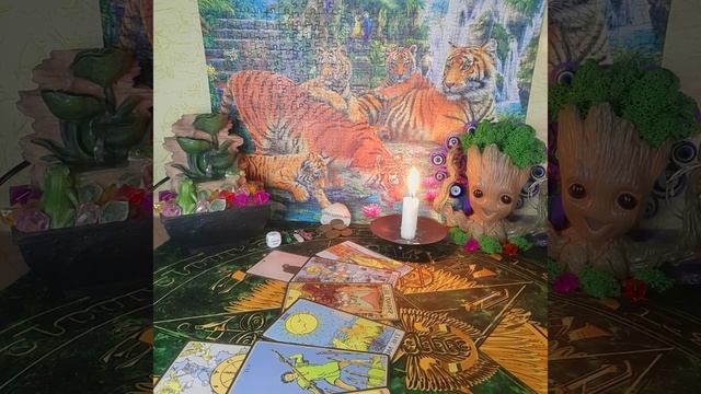 СРОЧНОЕ ПРЕДУПРЕЖДЕНИЕ ⚠️ 🕯🃏