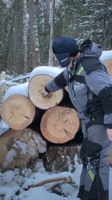 НИКОГДА НЕ ВИДЕЛ ТАКУЮ ПИХТУ