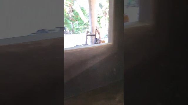 Sanchez mira night market #hardworkpayoff смотреть онлайн