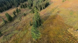 гора 1 видео стаб_2