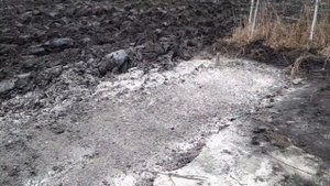 Как сажать чеснок из семян.